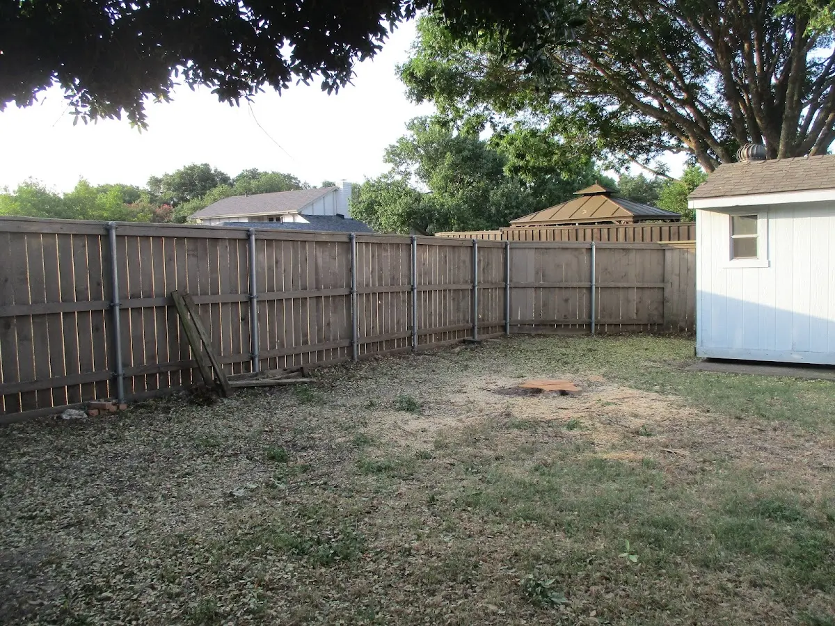 Cleared yard after professional tree removal in Eau Claire